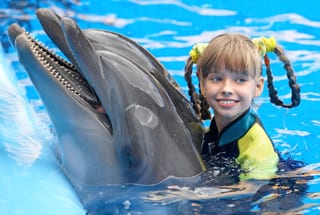 Mit Delfinen schwimmen