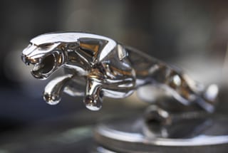 Jaguar fahren