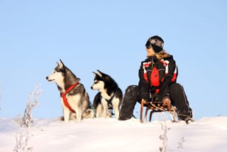 Huskytour