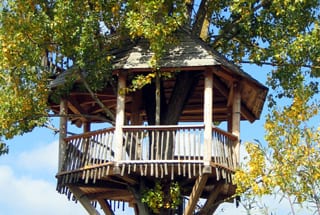 Baumhausübernachtung